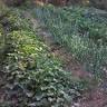 Farmers & Gardeners Guild