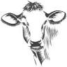 Farm Stay - The Bluff