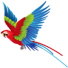 Feathered Follies
