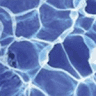 Festival City Carpet Cleaning