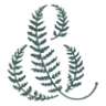 Field & Frond