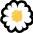 Fiesta Flowers Plants & Gifts