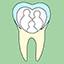 Fina Family Dental
