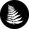 Fin and Fern