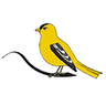 Finch Jewelers