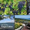 Finger Lakes Post Cards