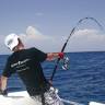 Fishing Zanzibar Co Ltd