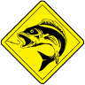 Fishing Zone