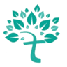 Fisioorthopedicos