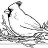 Five Cardinals Farm