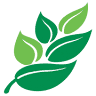 Five Star Eco City