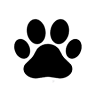 Five Star Pups