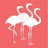 Flamboyance Tours | Adelaide Walking Tours