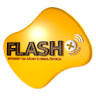 Flash + Telecom