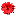 Fleuriste Beau Geste