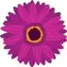 Fleuriste Coin Vert (Coin St-Pierre)