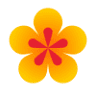Fleuriste Nini