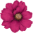 Fleuriste Raymonde