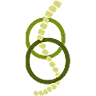 Flex Osteopathy Adelaide
