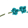 Flora Designs By Donna