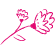 Flor Alada - cultivo de flores orgânicas