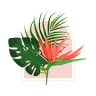 Floraportico Flower Shop
