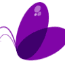 Floraria Pamico Târgu Jiu