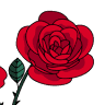 Floraria de Vis - Florarie online Bucuresti