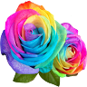 Florarie Online Marlene