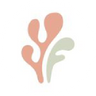 Flores con flow - flores secas y preservadas online