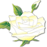 Flores Fúnebres