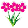 Flores Online