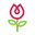 Flowers and more flowers