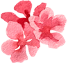 Floricultura Ypê