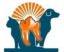 Florida Animal Dentistry