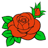 Floristería Barata