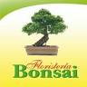Floristería Bonsai