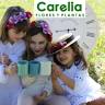 Floristeria en Sevilla Carelia