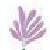 MUSCARI FLORISTERIA CHABRERA