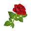 Floristería Diana