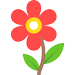 FLORISTERÍA LA ORQUIDEA LILA