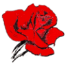 Floristería Miguel