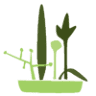 Floristería Verdenace