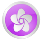 Flower Interactive