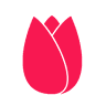 Fruits & Flower Kimura
