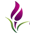 Flowers Galaxy