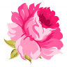 Flowers Of Southport