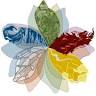 Finger Lakes Office of Alternative Therapies