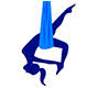 Fly & Flow Fitness