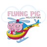 Flying Pig Helicopters